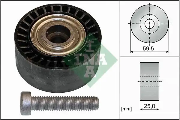 INA 532043310 Alternatör Gergi Rulmanı