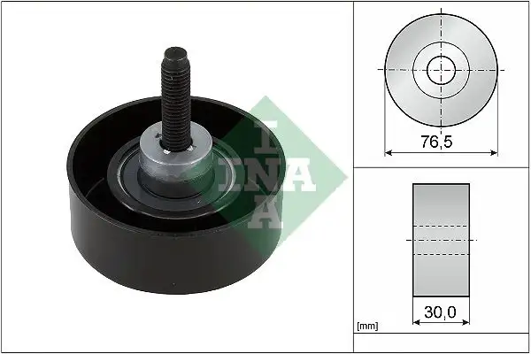 INA 532045810 Alternatör Gergi Rulmanı