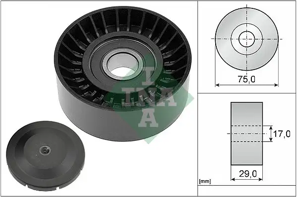 INA 532053610 Alternatör Gergi Rulmanı 076145276
