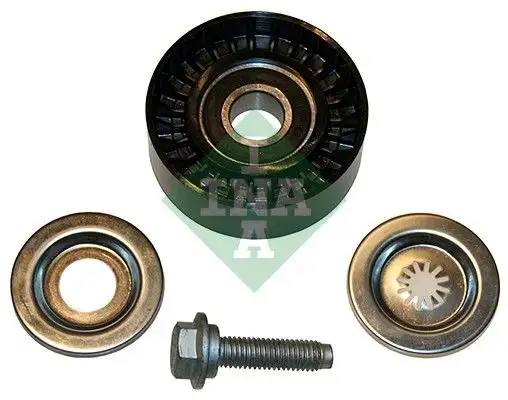 INA 532056010 Alternatör Gergi Rulmanı
