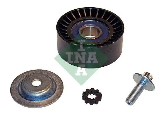 INA 532061710 Alternatör Gergi Rulmanı