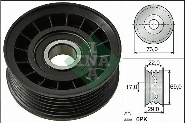 INA 532064910 Alternatör Gergi Rulmanı
