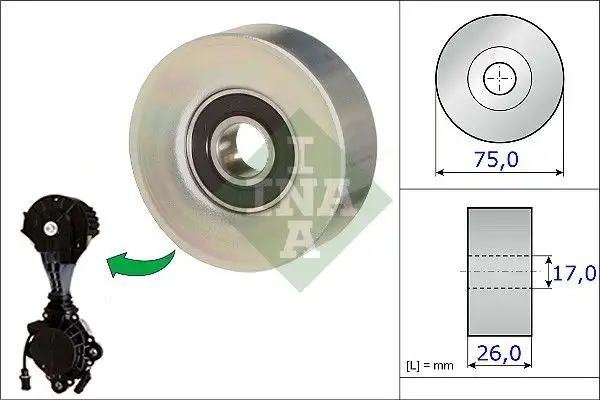 INA 532067610 Alternatör Gergi Rulmanı