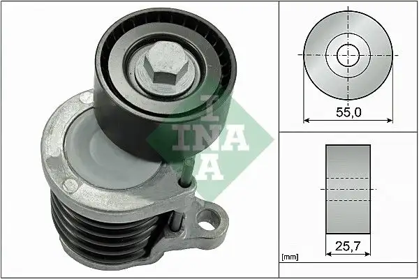 INA 534059110 Kayış Gergi Kütüğü