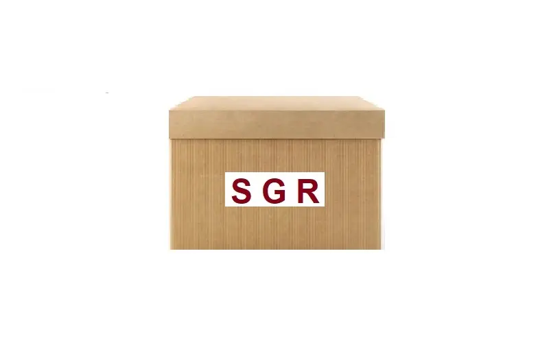 SGR 59663 Fan Motoru 7701043963