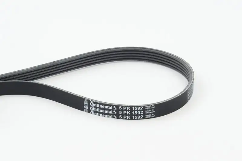 CONTITECH 5PK1592 Kayış