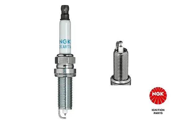 NGK 6043 (ILZKAR7A10) Buji A0041593903