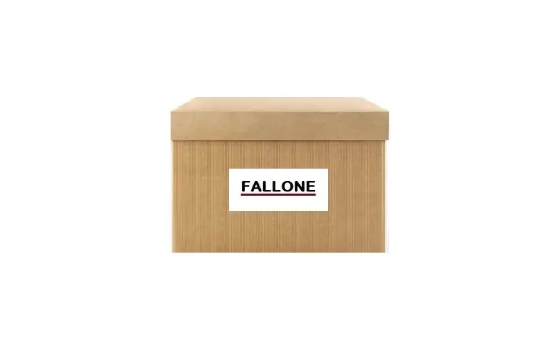 FALLONE 6190 Yağ Pompası 437921100