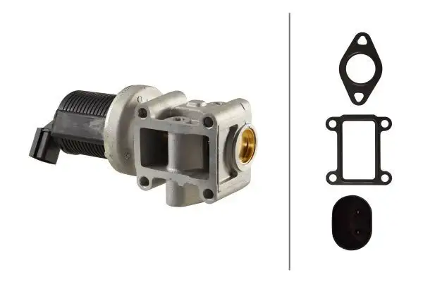 HELLA 6NU010171-401 EGR Valfi