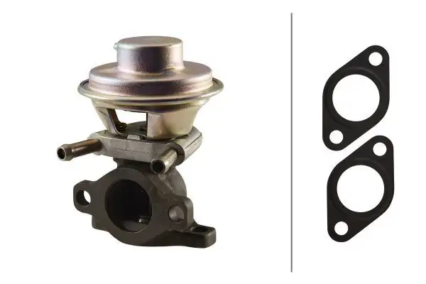 HELLA 6NU010171-481 EGR Valfi 71793031
