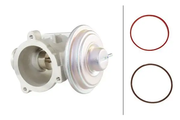 HELLA 6NU010171-701 EGR Valfi 11717804382
