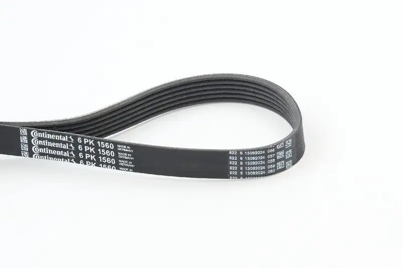 CONTITECH 6PK1560 Kayış