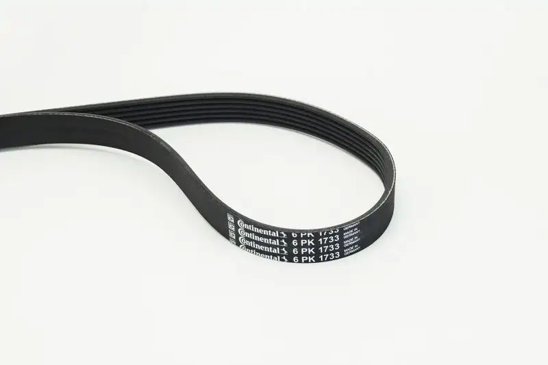 CONTITECH 6PK1733 Kayış