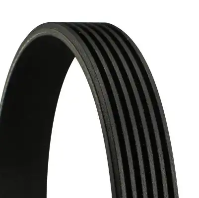CONTITECH 6PK1990 Kayış