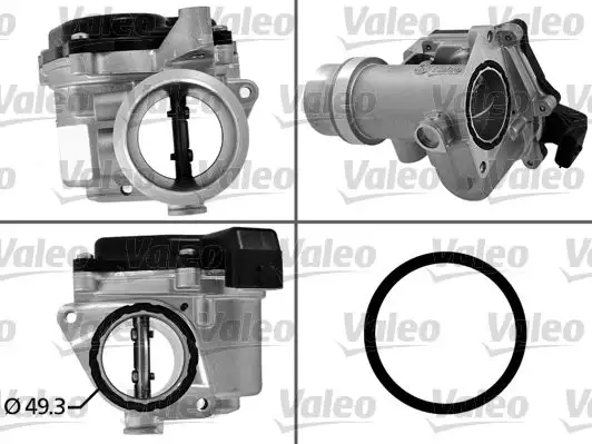 VALEO 700450 Gaz Kelebeği 161A09794R