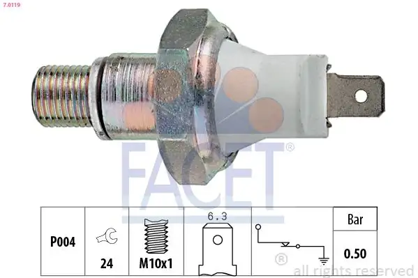 FACET 7.0119 Yağ Müşiri