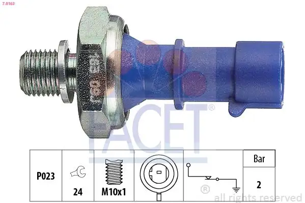 FACET 7.0163 Yağ Müşiri