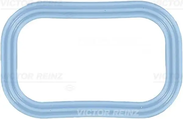 VICTOR REINZ 71-35539-00 Emme Manifold Contası