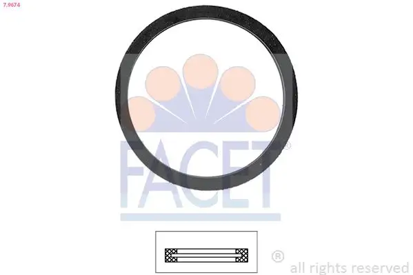 FACET 7.9674 Termostat Contası