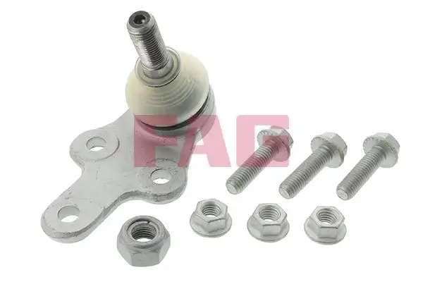 FAG 825028110 Alt Rotil