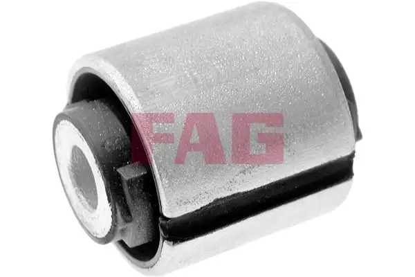 FAG 829010210 Salıncak Burcu