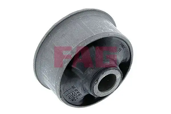 FAG 829062810 Salıncak Burcu