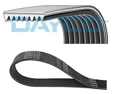 DAYCO 8PK1548HD (8PK1548) Kayış