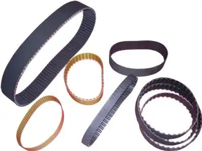 DAYCO 8PK1600HD (8PK1600) Kayış