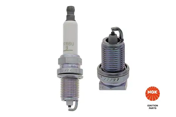 NGK 90318 (ZFR6U9) Buji 25186682