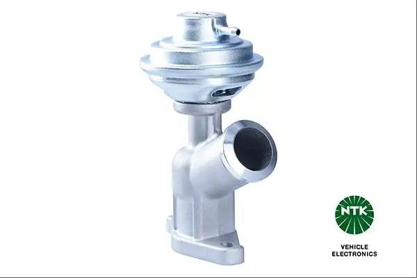 NGK 95864 EGR Valfi