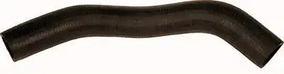 MGA 96137 Radyatör Üst Hortumu 254114A900