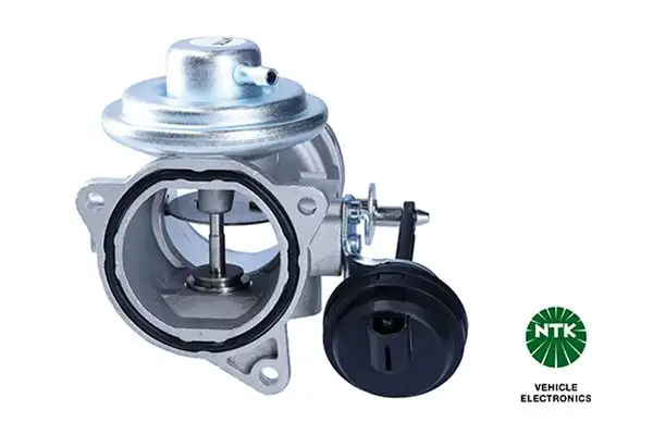 NGK 97282 EGR Valfi