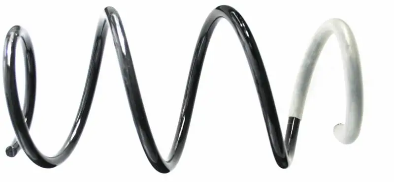 SACHS 993456 Ön Helezon Yayı 540100658R