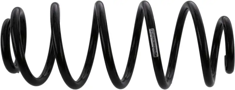 SACHS 994841 Arka Helezon Yayı