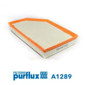 PURFLUX A1289 Hava Filtresi
