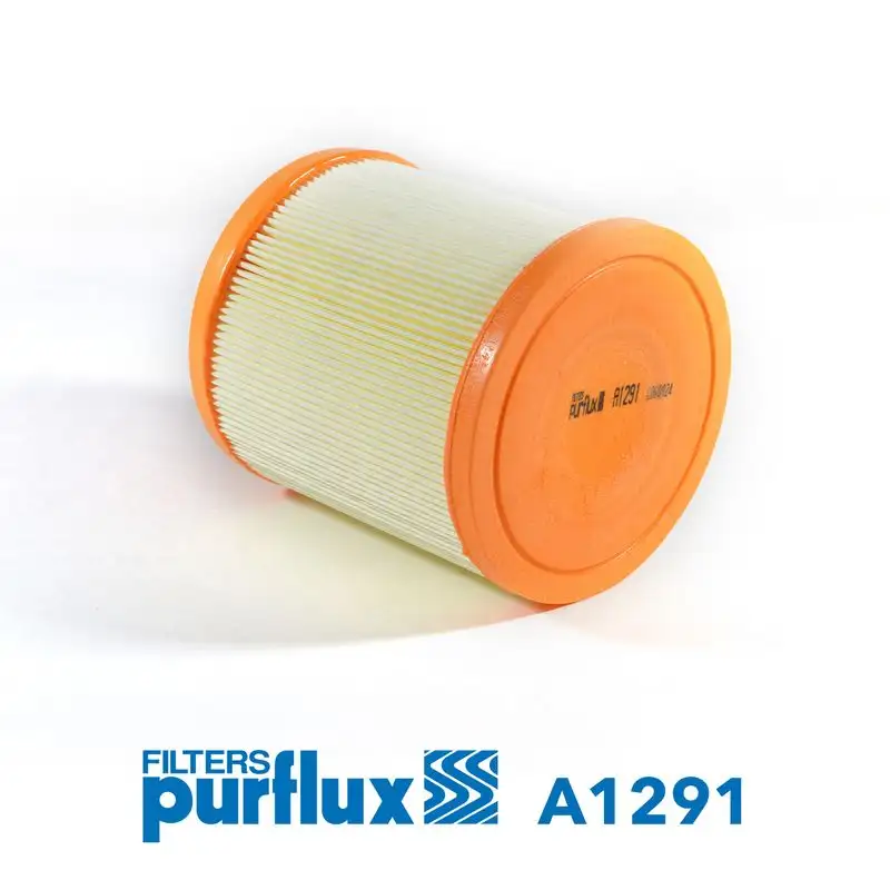 PURFLUX A1291 Hava Filtresi FA3319