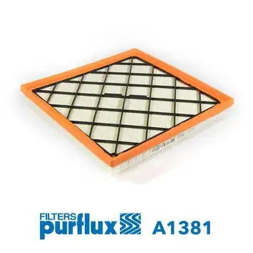 PURFLUX A1381 Hava Filtresi