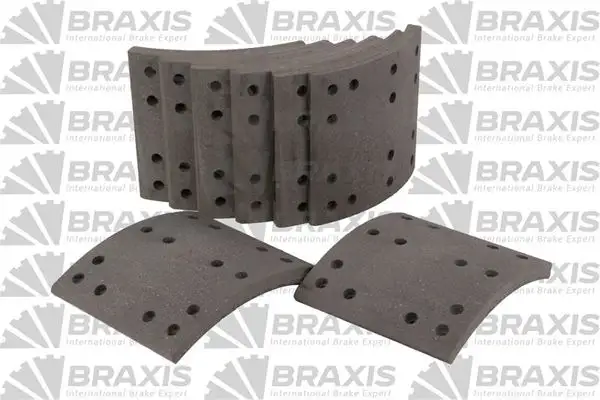 BRAXIS AC5010 Arka Fren Balatası M91003501