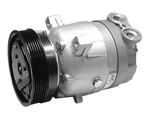 MAHLE ACP1090000S Klima Kompresörü