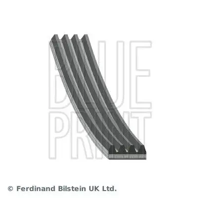 BLUEPRINT AD04R823 Kayış