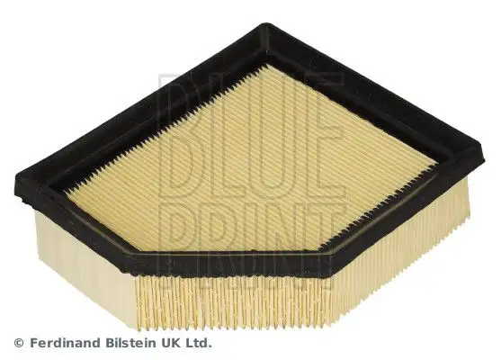 BLUEPRINT ADBP220128 Hava Filtresi 165466RC1A
