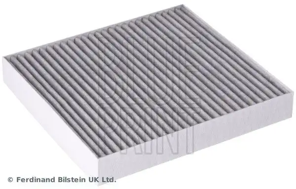 BLUEPRINT ADBP250048 Polen Filtresi (Karbonlu)