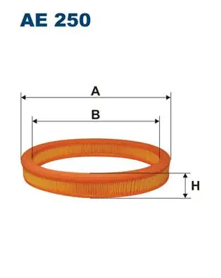 FILTRON AE250 Hava Filtresi 6162294