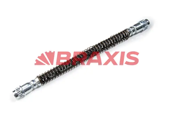 BRAXIS AH0096 Arka Fren Hortumu 480647