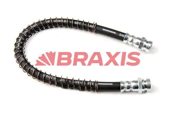 BRAXIS AH0679 Arka Fren Hortumu 5873734000