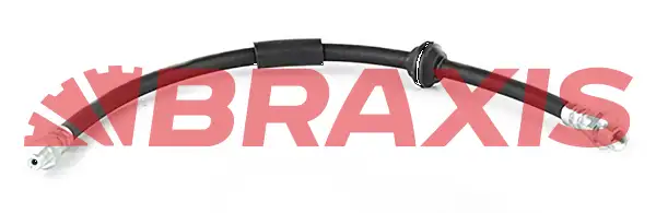 BRAXIS AH0769 Arka Fren Hortumu 34306781667