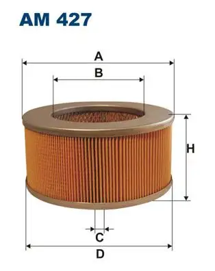 FILTRON AM427 Hava Filtresi