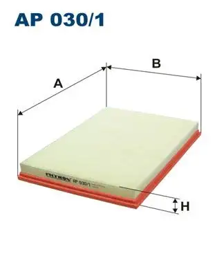 FILTRON AP030/1 Hava Filtresi 13717548888