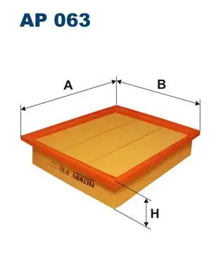 FILTRON AP063 Hava Filtresi 1H0129620