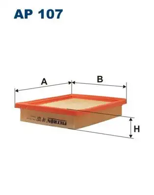 FILTRON AP107 Hava Filtresi 2811322301